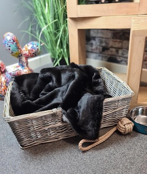 Black fur dog blanket