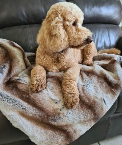 Luxury striped faux fur dog blanket