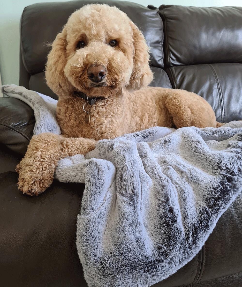 Luxury two tone grey fur dog blanket