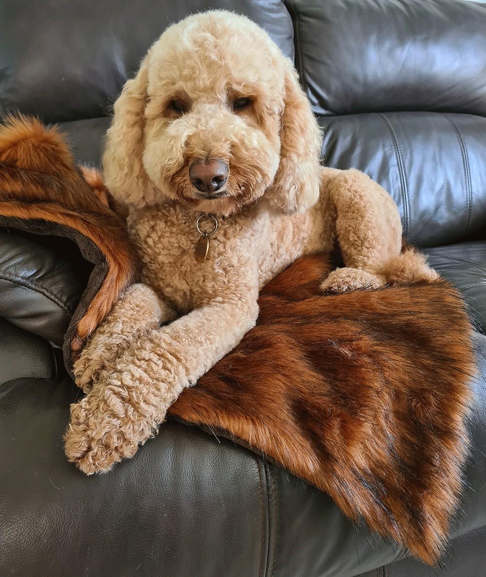 Luxury long haired brown faux fur dog blanket